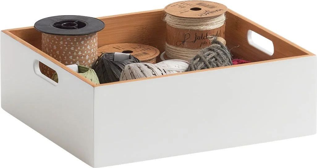 ZELLER PRESENT Aufbewahrungsbox für Haushalt und Büro