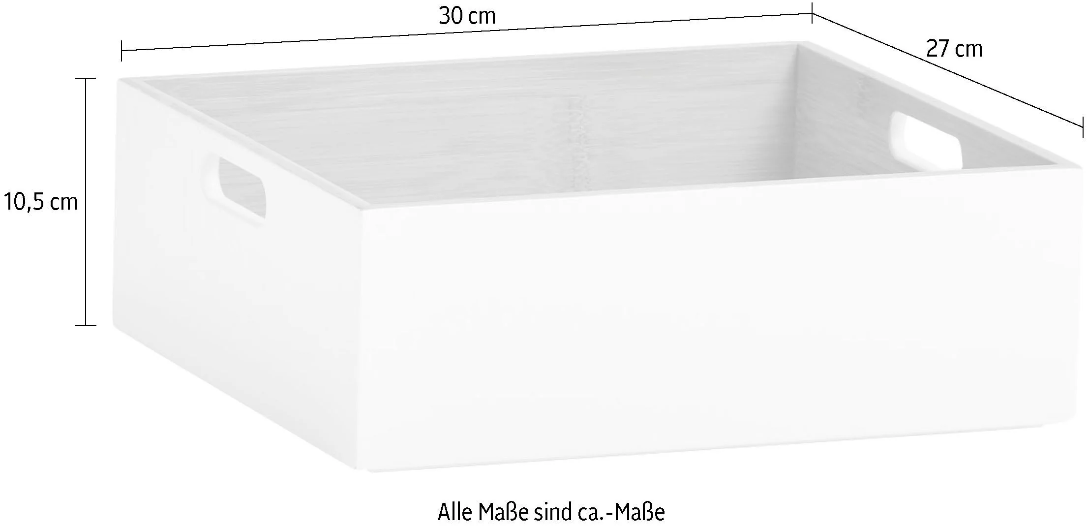 ZELLER PRESENT Aufbewahrungsbox für Haushalt und Büro