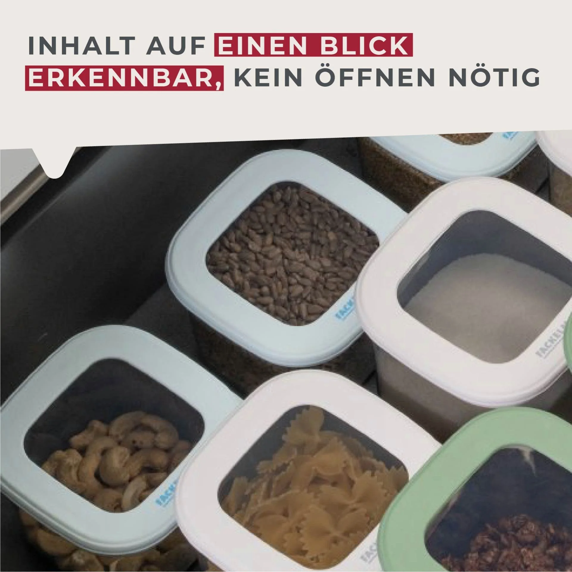 FACKELMANN Aufbewahrungsdose Küchenbehälter, Nahrungsmittelbox, Frischhaltedose, Aufbewahrungsbox