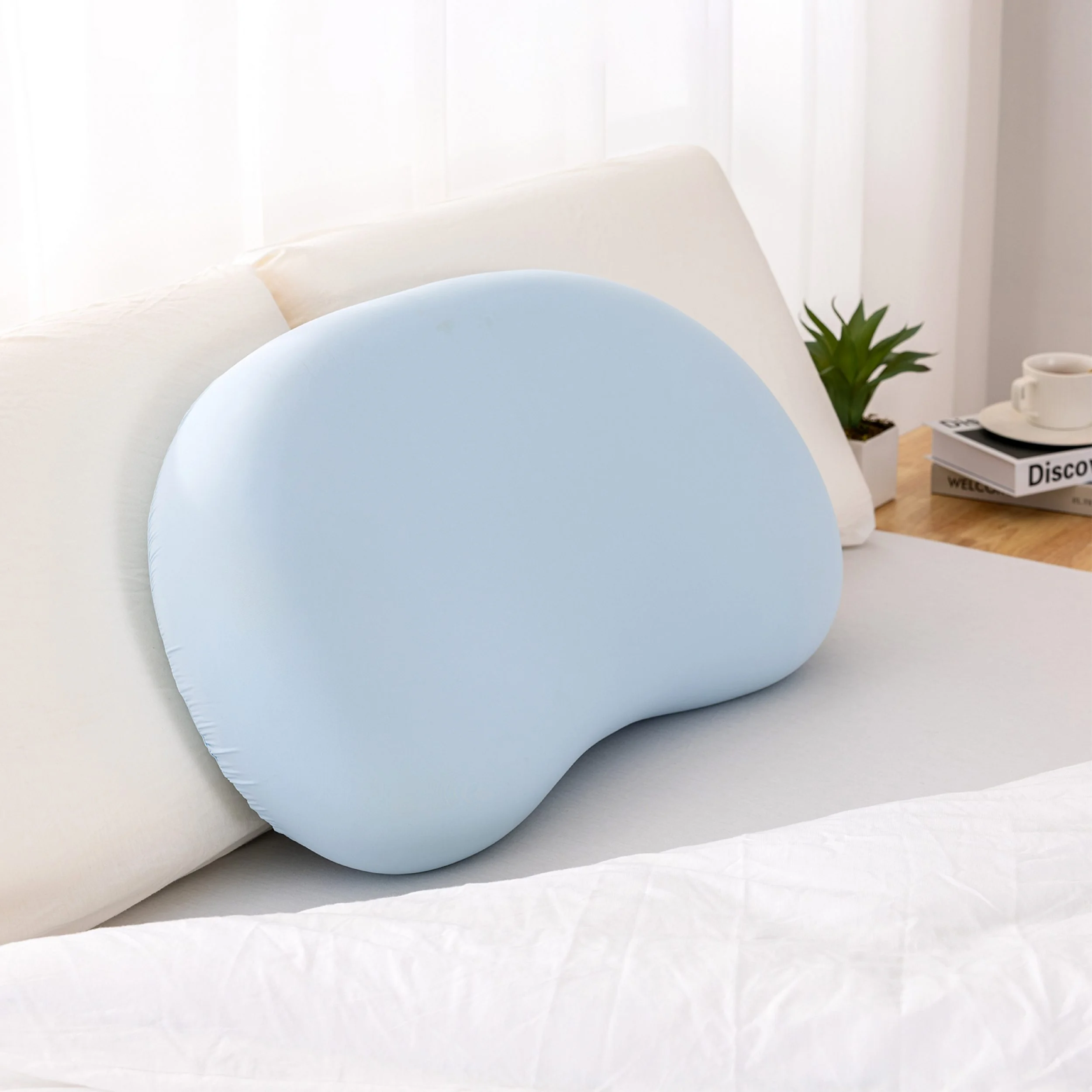 EMERSPRING Nackenstützkissen Memory Foam 66x39 cm Seitenschläfer
